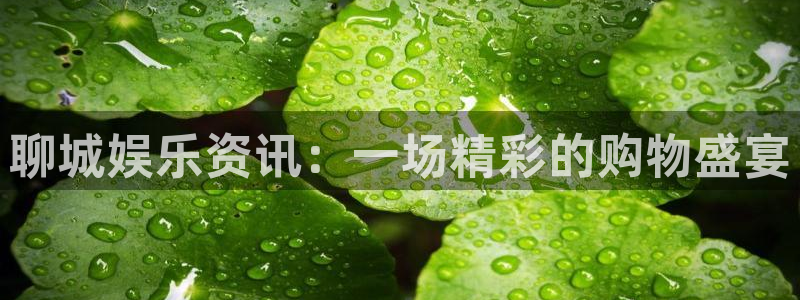 长征平台4官网：聊城娱乐资讯：一场精彩的购物盛宴
