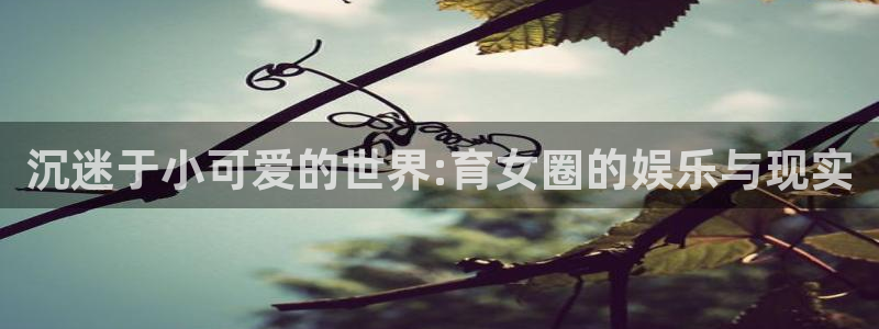 长征平台2注册：沉迷于小可爱的世界:育女圈的娱乐与现实