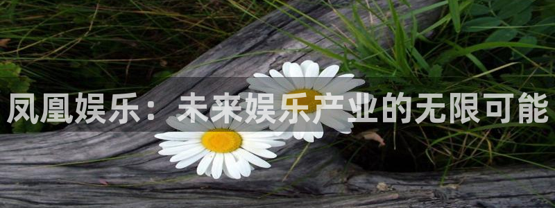 成都长征平台电子有限公司：凤凰娱乐：未来娱乐产业的无限可能