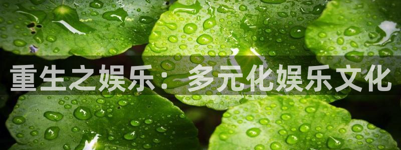 长征平台.ccmpc正版官网版下载：重生之娱乐：多元化娱乐文化