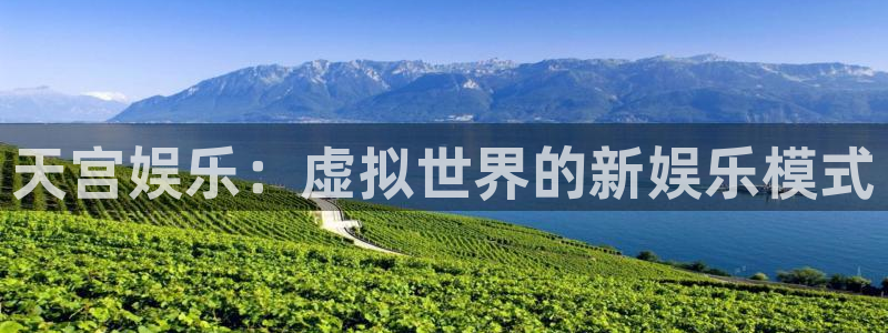 长征平台3官网登录：天宫娱乐：虚拟世界的新娱乐模式