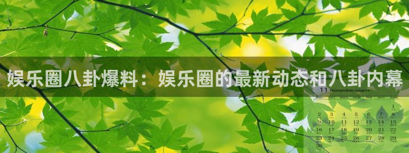 长征平台官网：娱乐圈八卦爆料：娱乐圈的最新动态和八卦内幕