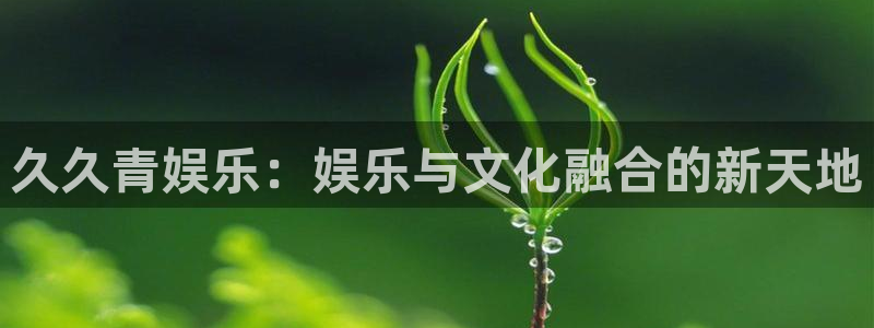 长征平台注册网站app：久久青娱乐：娱乐与文化融合的新天地