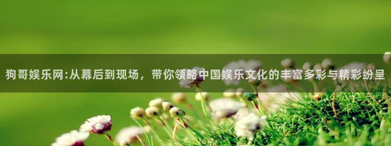 长征平台注册入口与教程：狗哥娱乐网:从幕后到现场，带你领略中国娱乐文化的丰富多彩