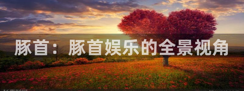 长征平台体育凯捷平台注册：豚首：豚首娱乐的全景视角