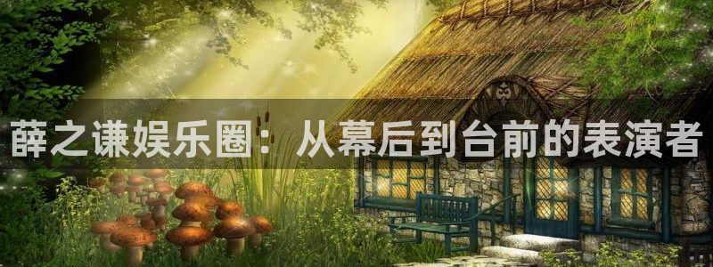 长征平台体育代理：薛之谦娱乐圈：从幕后到台前的表演者