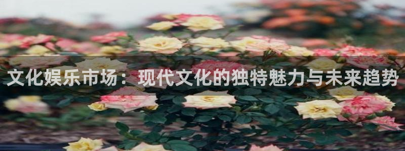长征平台体育app下载：文化娱乐市场：现代文化的独特魅力与未来趋势