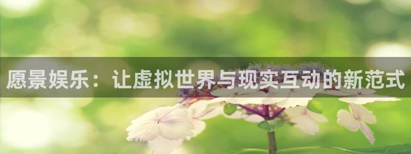 长征平台体育免费注册入口：愿景娱乐：让虚拟世界与现实互动的新范式