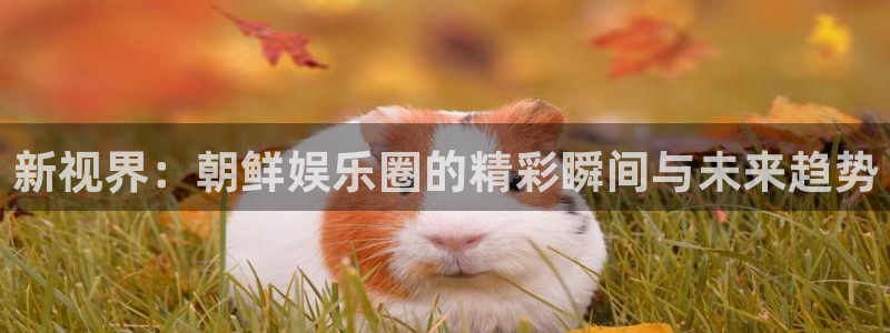 长征平台.ccm苹果版：新视界：朝鲜娱乐圈的精彩瞬间与未来趋势