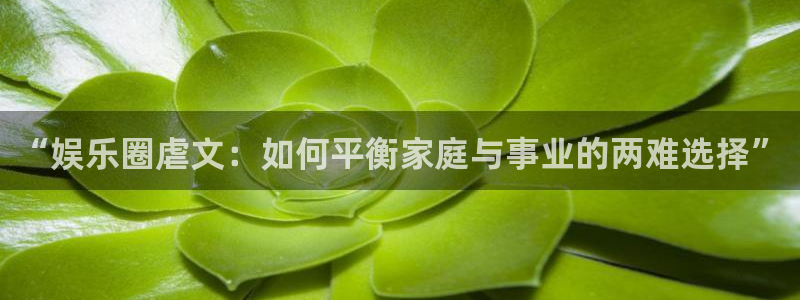 长征平台体育娱乐注册链接：“娱乐圈虐文：如何平衡家庭与事业的两难选择”