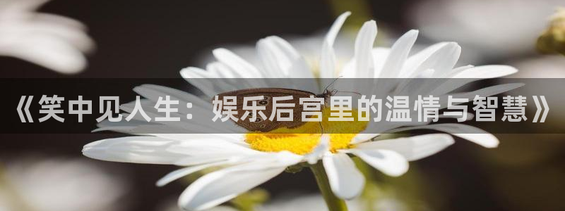 长征平台4代理：《笑中见人生：娱乐后宫里的温情与智慧》
