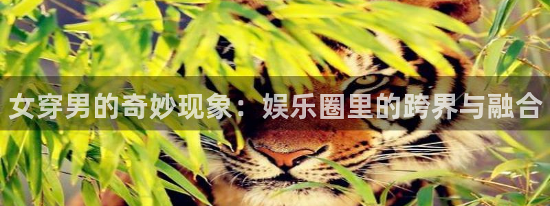 长征平台代理注册官网入口：女穿男的奇妙现象：娱乐圈里的跨界与融合