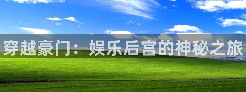 长征平台4平台：穿越豪门：娱乐后宫的神秘之旅