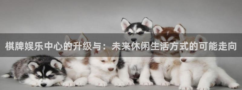 长征平台注册网站：棋牌娱乐中心的升级与：未来休闲生活方式的可能走向