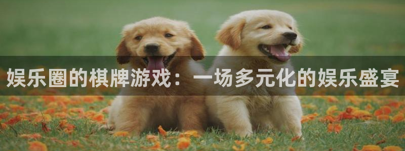 长征平台下载地址：娱乐圈的棋牌游戏：一场多元化的娱乐盛宴